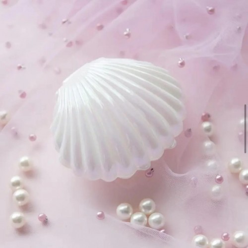 Plastik İstiridye Kutusu – Söz, Nişan, Nikah & Kına İçin Hediyelik Sunum Kutusu