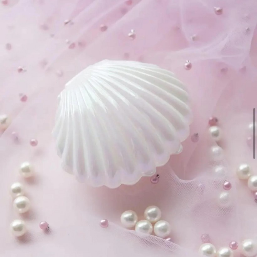 Plastik İstiridye Kutusu – Söz, Nişan, Nikah & Kına İçin Hediyelik Sunum Kutusu