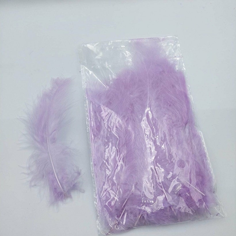 100 lü Paket Tekli Kuş Tüyü