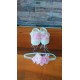 Bebek patik bandana seti