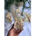 Plastik Hediyelik Kolonya Şişesi – Söz, Nişan, Nikah, Kına & Doğum