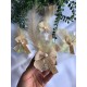 Plastik Hediyelik Kolonya Şişesi – Söz, Nişan, Nikah, Kına & Doğum